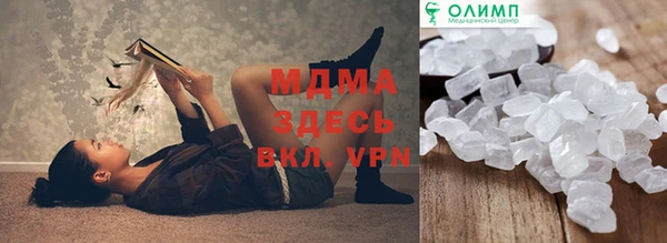 стаф Алзамай