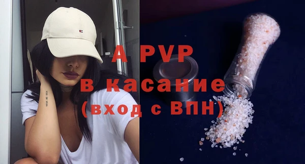 стаф Алзамай