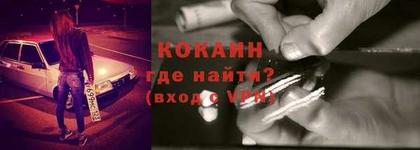 стаф Алзамай