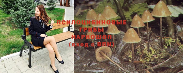 синтетический гашиш Алексеевка