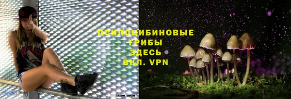 2c-b Алексин