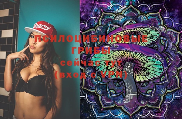 стаф Алзамай