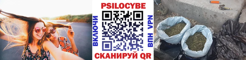 Псилоцибиновые грибы ЛСД  мега сайт  Пушкино 