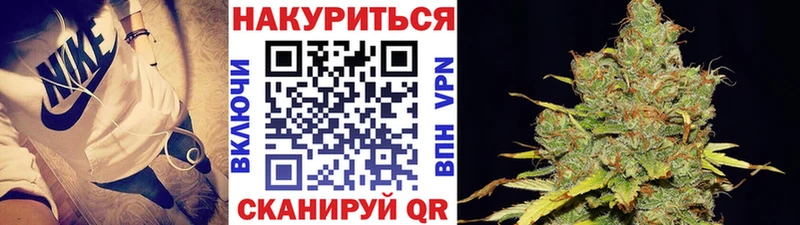 дарнет шоп  Пушкино  Бошки Шишки семена 